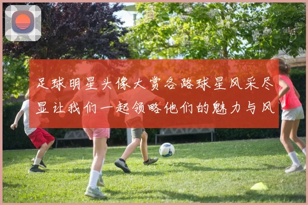 足球明星头像大赏各路球星风采尽显让我们一起领略他们的魅力与风格