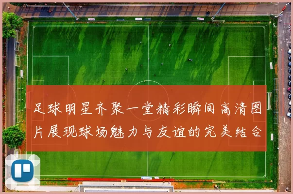 足球明星齐聚一堂精彩瞬间高清图片展现球场魅力与友谊的完美结合